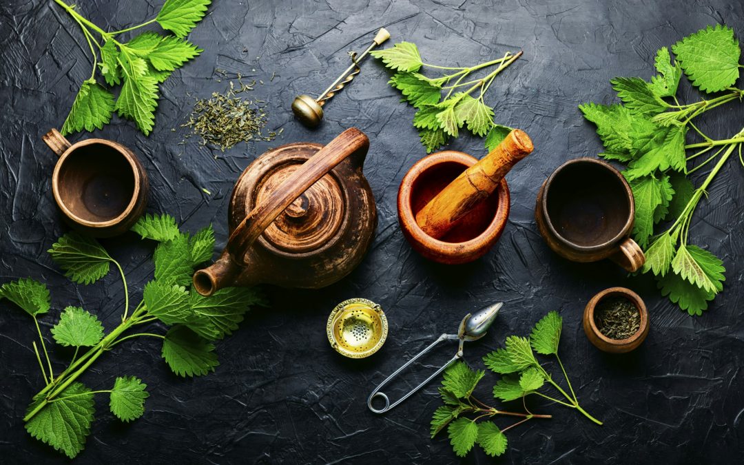 Harmony in Nature: Harnessing the Power of Herbal Remedies for Health & Wellness